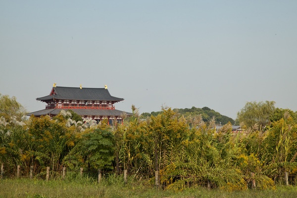 c0043403_22193742.jpg
