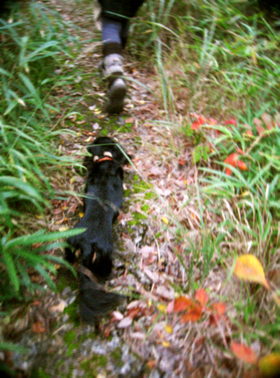 d0077603_11174944.jpg
