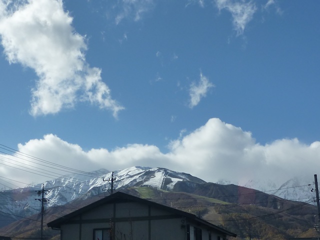d0171906_144632.jpg