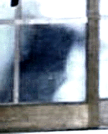 e0103408_17301170.gif