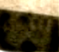 e0103408_19372693.gif