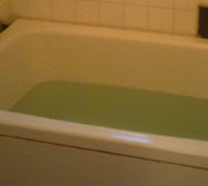 e0103408_2014133.gif
