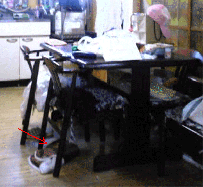 e0103408_2021977.gif