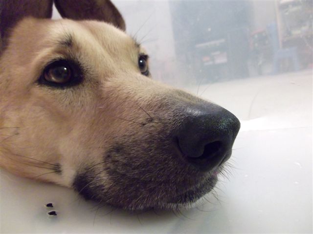 c0079011_10515776.jpg