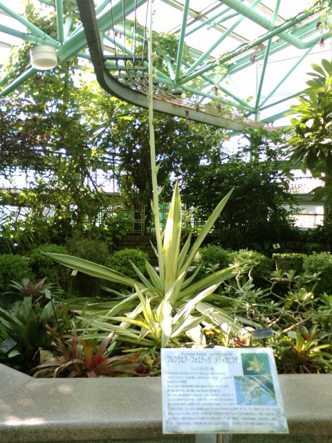 e0099212_7281574.jpg