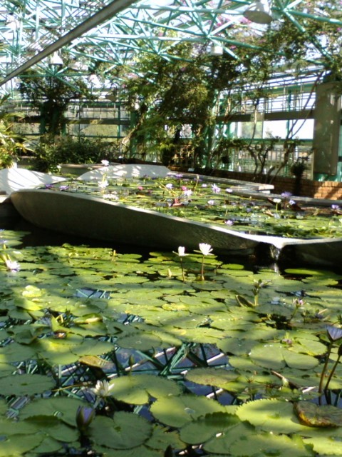 e0099212_7303738.jpg