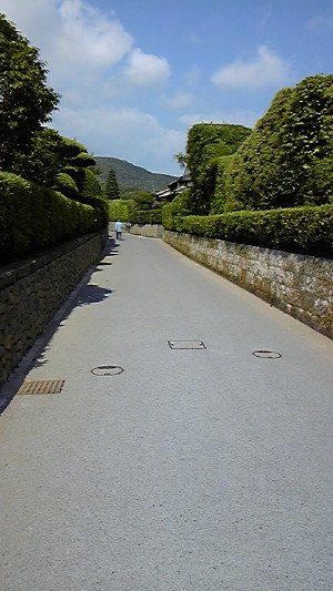 d0120120_13574492.jpg