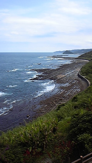 d0120120_1413649.jpg