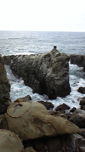 d0120120_1415743.jpg