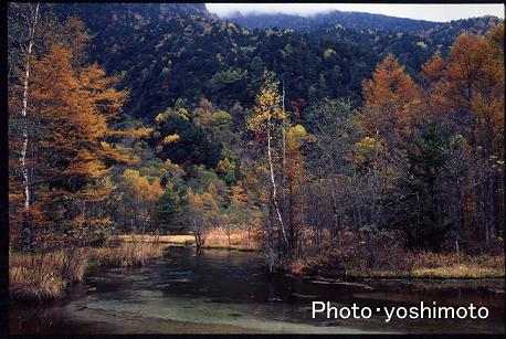 e0071020_14565723.jpg