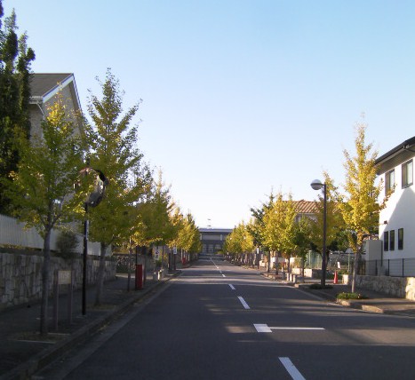 c0204121_2115710.jpg