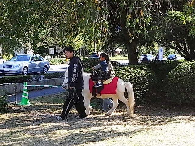 e0130722_2215864.jpg