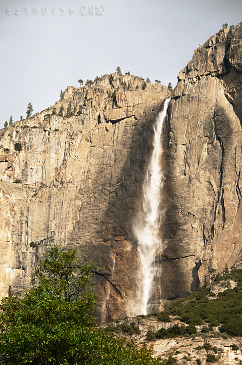 b0085526_18494475.jpg