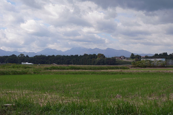f0007926_8532633.jpg