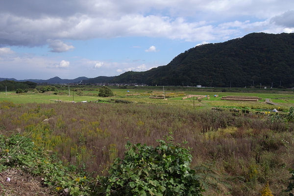 f0007926_8584091.jpg