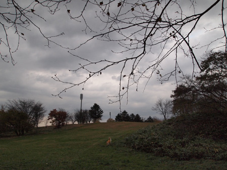 f0227228_1845976.jpg