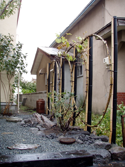 c0181929_22504453.jpg