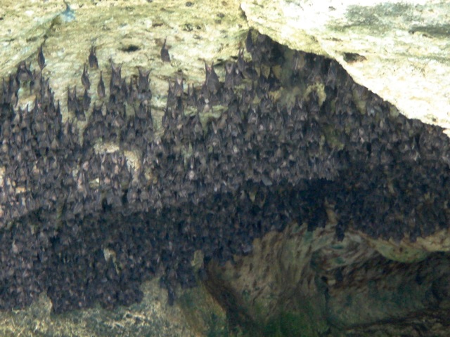 c0199431_7353168.jpg
