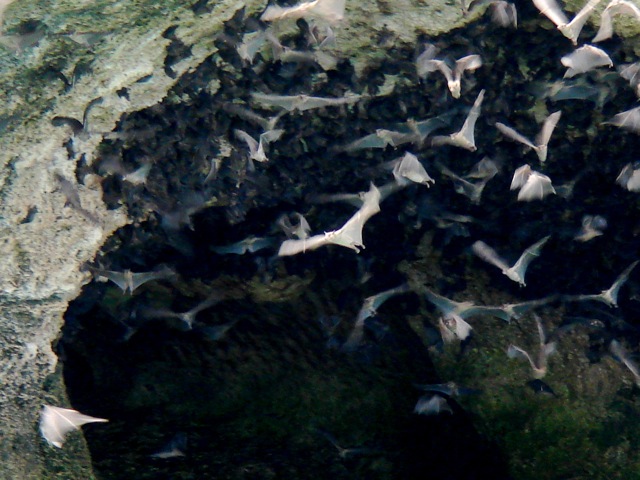 c0199431_735544.jpg