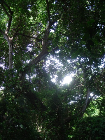 c0199431_7432260.jpg