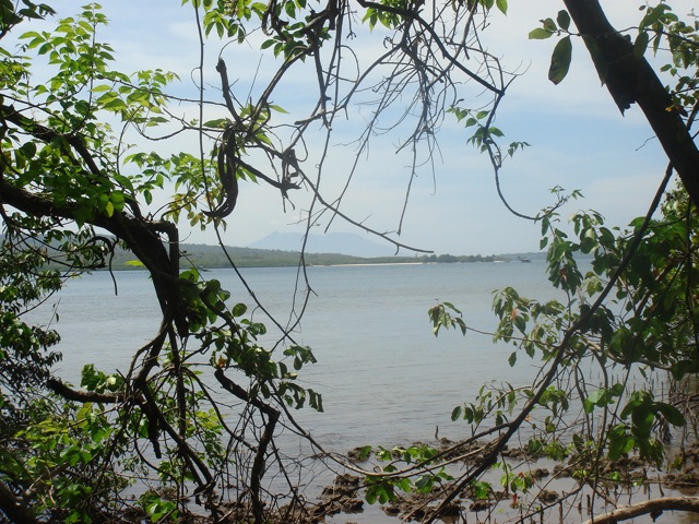 c0199431_743488.jpg
