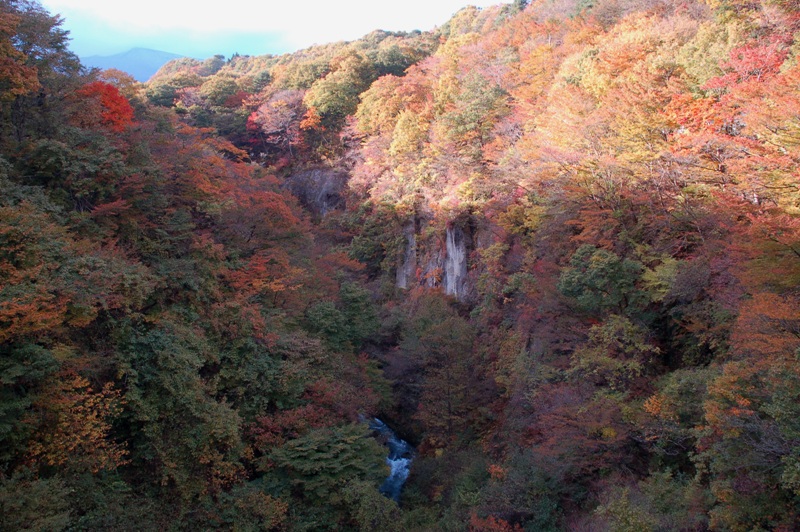e0206031_16475517.jpg