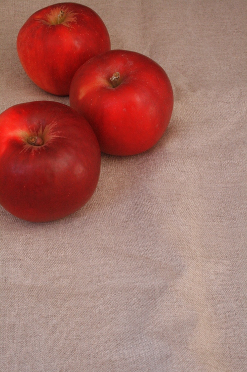 a0170238_21444996.jpg