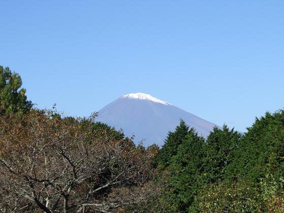 b0089338_22333665.jpg