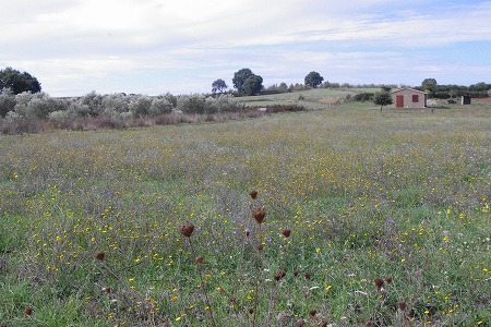 d0092439_3265774.jpg
