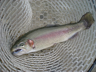 f0065341_15211075.jpg
