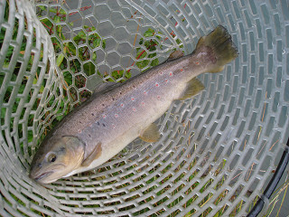 f0065341_15225294.jpg