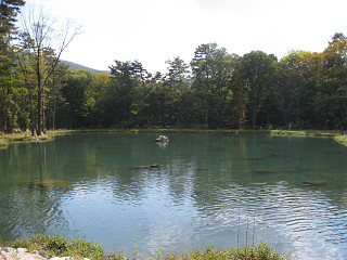 f0065341_15234353.jpg