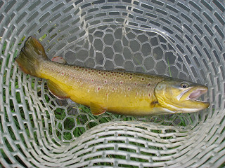 f0065341_15265855.jpg