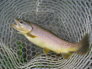 f0065341_15271689.jpg