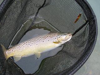 f0065341_15304349.jpg
