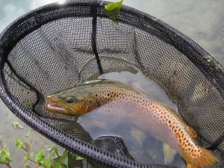 f0065341_1531281.jpg