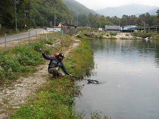 f0065341_1531644.jpg