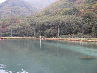 f0065341_15341834.jpg
