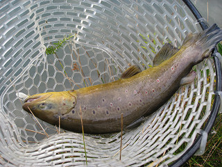 f0065341_15355657.jpg