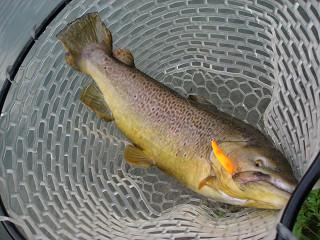 f0065341_15472146.jpg