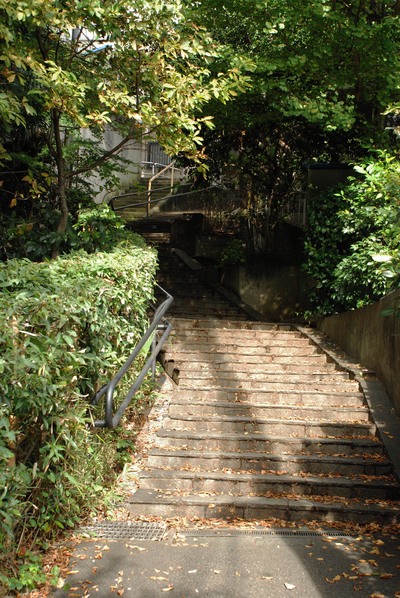 f0068145_1323958.jpg