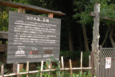 f0068145_132524.jpg