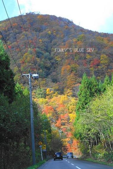c0145250_17342383.jpg