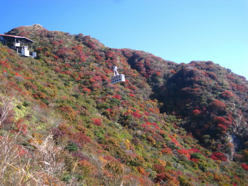c0179351_20361064.jpg
