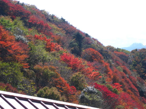 c0179351_20365940.jpg