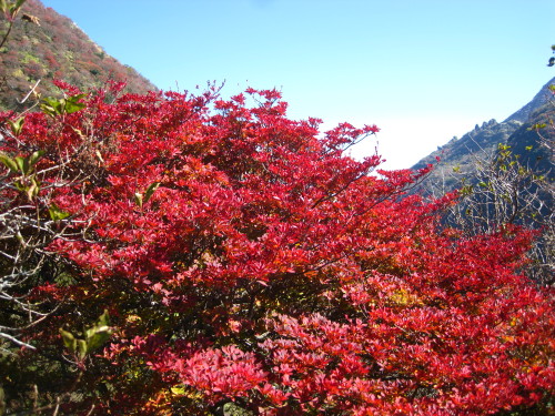 c0179351_20392820.jpg