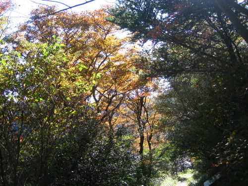 c0179351_20481024.jpg