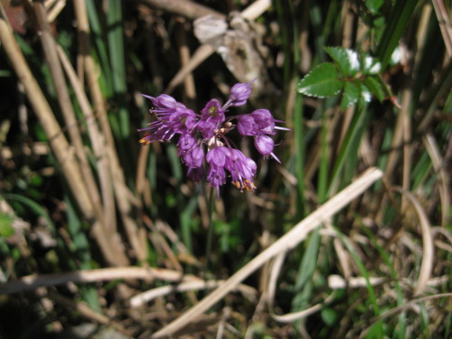 c0179351_20525760.jpg
