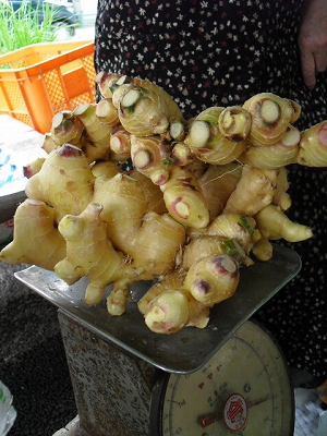 f0009451_16321366.jpg