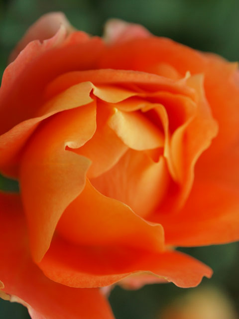 b0172252_2094148.jpg